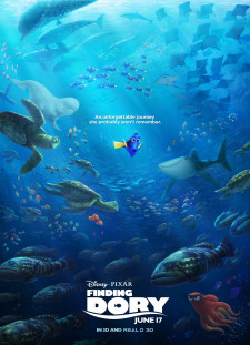 دانلود زیرنویس فارسی  فیلم 2016 Finding Dory