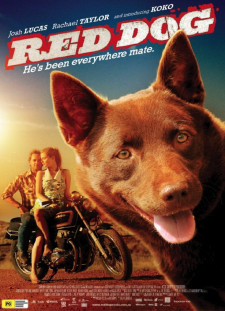 دانلود زیرنویس فارسی  فیلم 2011 Red Dog