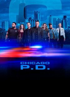 دانلود زیرنویس فارسی  سریال 2014 Chicago P.D.