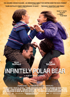 دانلود زیرنویس فارسی  فیلم 2015 Infinitely Polar Bear