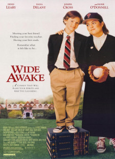 دانلود زیرنویس فارسی  فیلم 1998 Wide Awake