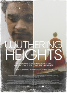 دانلود زیرنویس فارسی  فیلم 2011 Wuthering Heights
