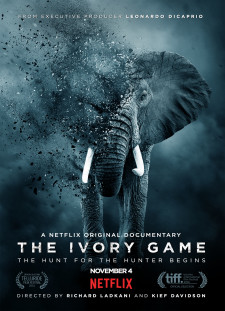 دانلود زیرنویس فارسی  فیلم 2016 The Ivory Game