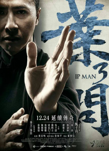 دانلود زیرنویس فارسی  فیلم 2015 Yip Man 3