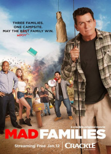 دانلود زیرنویس فارسی  فیلم 2017 Mad Families