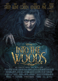 دانلود زیرنویس فارسی  فیلم 2014 Into the Woods