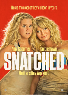 دانلود زیرنویس فارسی  فیلم 2017 Snatched