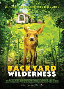 دانلود زیرنویس فارسی  فیلم 2018 Backyard Wilderness