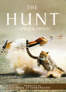 دانلود زیرنویس فارسی  سریال 2015 The Hunt