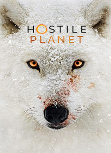 دانلود زیرنویس فارسی  سریال 2019 Hostile Planet