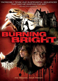 دانلود زیرنویس فارسی  فیلم 2012 Burning Bright