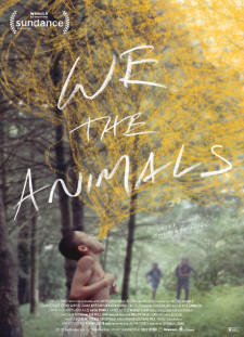 دانلود زیرنویس فارسی  فیلم 2018 We the Animals