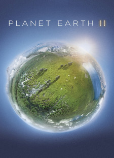 دانلود زیرنویس فارسی  سریال 2016 Planet Earth II