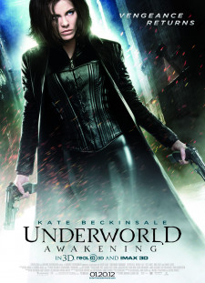 دانلود زیرنویس فارسی  فیلم 2012 Underworld Awakening