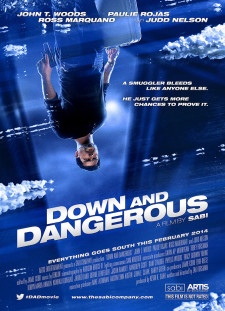 دانلود زیرنویس فارسی  فیلم 2013 Down and Dangerous