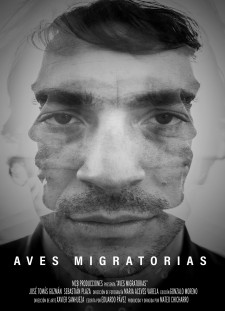 دانلود زیرنویس فارسی  فیلم 2020 Aves Migratorias