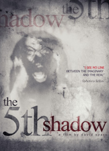 دانلود زیرنویس فارسی  فیلم 2018 The 5th Shadow