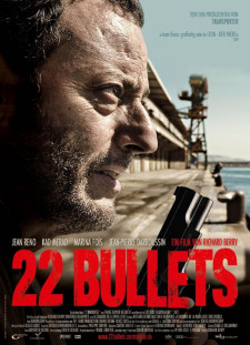 دانلود زیرنویس فارسی  فیلم 2010 L'immortel