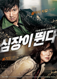 دانلود زیرنویس فارسی  فیلم 2011 Sim-jang-i Ddwooin-da