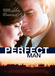 دانلود زیرنویس فارسی  فیلم 2013 A Perfect Man