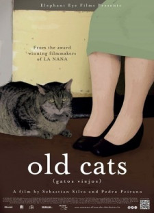 دانلود زیرنویس فارسی  فیلم 2011 Gatos Viejos