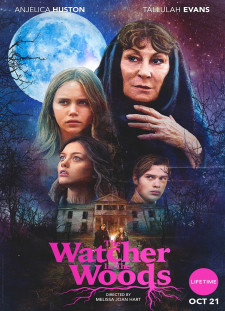 دانلود زیرنویس فارسی  فیلم 2017 The Watcher in the Woods