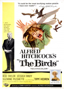 دانلود زیرنویس فارسی  فیلم 1963 The Birds