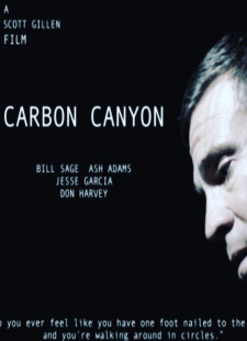 دانلود زیرنویس فارسی  فیلم 2016 Carbon Canyon