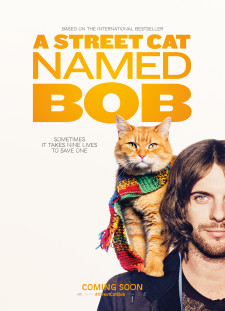 دانلود زیرنویس فارسی  فیلم 2016 A Street Cat Named Bob