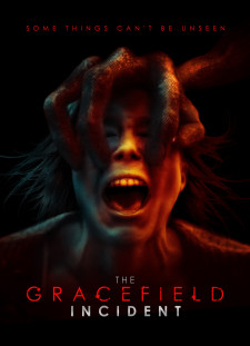 دانلود زیرنویس فارسی  فیلم 2017 The Gracefield Incident