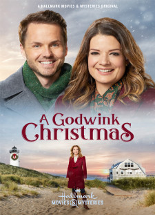 دانلود زیرنویس فارسی  فیلم 2018 A Godwink Christmas