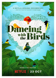 دانلود زیرنویس فارسی  سریال 2019 Dancing with the Birds