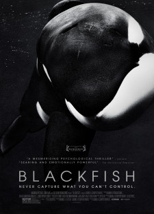 دانلود زیرنویس فارسی  فیلم 2013 Blackfish