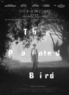 دانلود زیرنویس فارسی  فیلم 2019 The Painted Bird