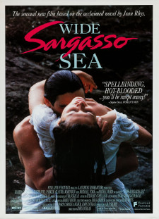 دانلود زیرنویس فارسی  فیلم 1993 Wide Sargasso Sea