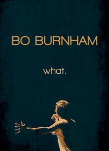 دانلود زیرنویس فارسی  CreativeWork 2013 Bo Burnham: what.