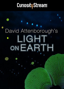 دانلود زیرنویس فارسی  فیلم 2016 Attenborough's Life That Glows