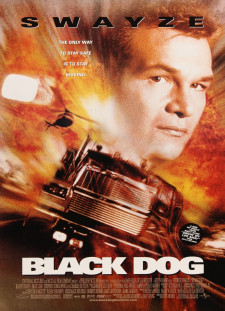 دانلود زیرنویس فارسی  فیلم 1998 Black Dog