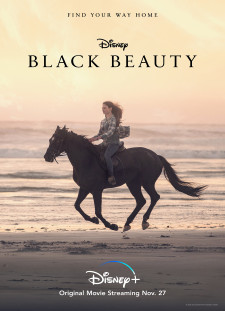 دانلود زیرنویس فارسی  فیلم 2020 Black Beauty