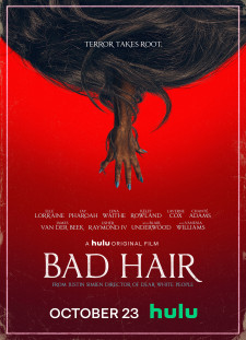 دانلود زیرنویس فارسی  فیلم 2020 Bad Hair