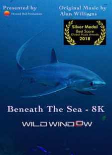 دانلود زیرنویس فارسی  فیلم 2018 Wild Window: Beneath the Sea