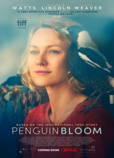 دانلود زیرنویس فارسی  فیلم 2021 Penguin Bloom