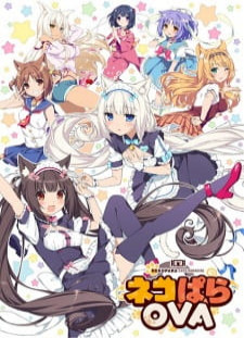 دانلود زیرنویس فارسی انیمه Nekopara OVA